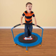 Illustration for article titled Useful Uses For The Small Trampolineem/em